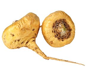 sexually long time for maca