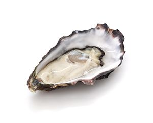 natural male enhancement capsule oyster